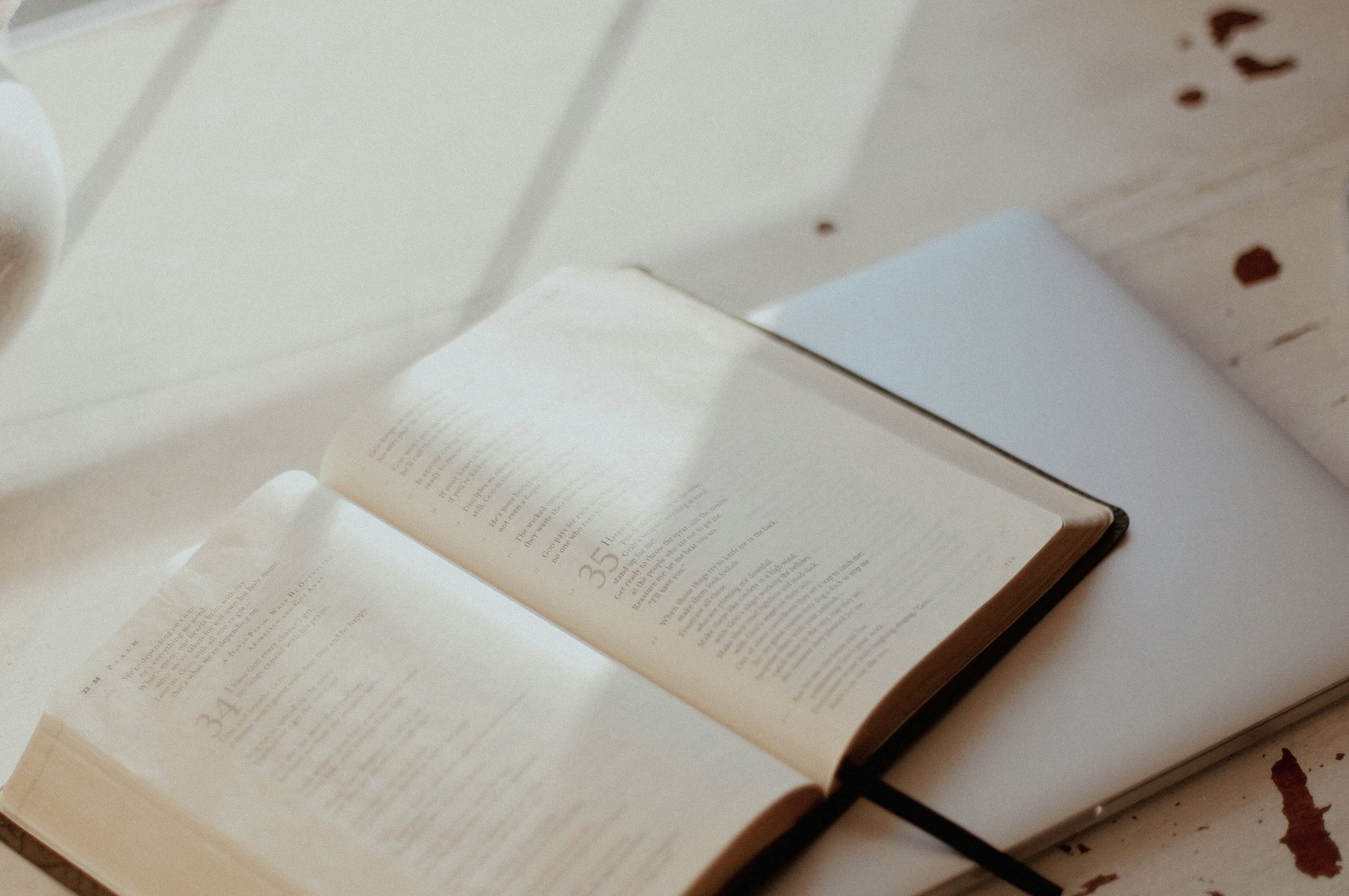 Offene Bibel